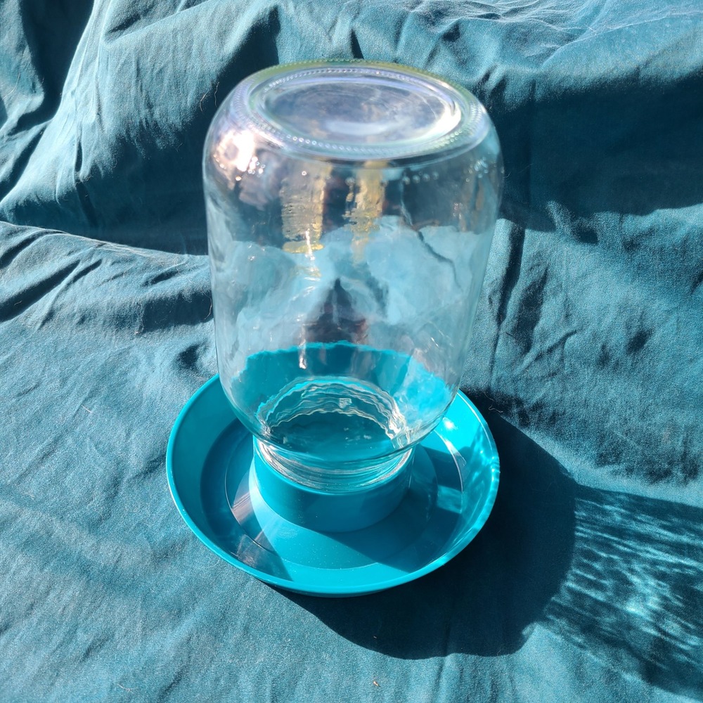 New Impeckables Chicken Waterer Set Chick Teal Plastic Poultry Water Brooder Set